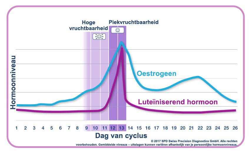 Typical hormone levels during the menstrual cycle